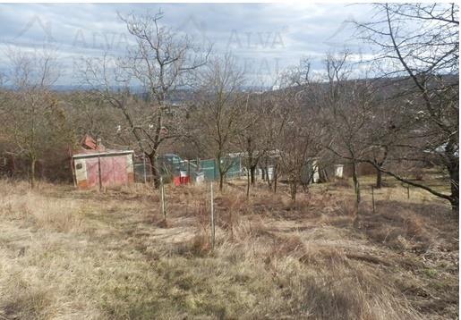 V horní části je pozemek kaskádovitě členěný, rostou zde ovocné stromy (jabloně, třešně, švestky, višně, ořechy a meruňka). Na pozemku se nachází vrt na studnu s vodním sloupcem 11 m.