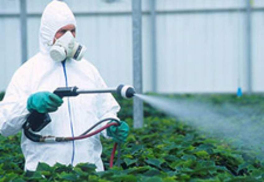Pesticidy jsou přípravky určené k tlumení a hubení rostlinných a živočišných škůdců, k ochraně rostlin, skladových zásob, zvířat, člověka.