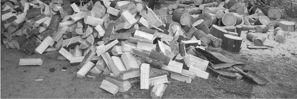 Nejen že chlapi pořezali spoustu dřeva, ale Lenka Kuchtová skoro všechno pořezané dřevo