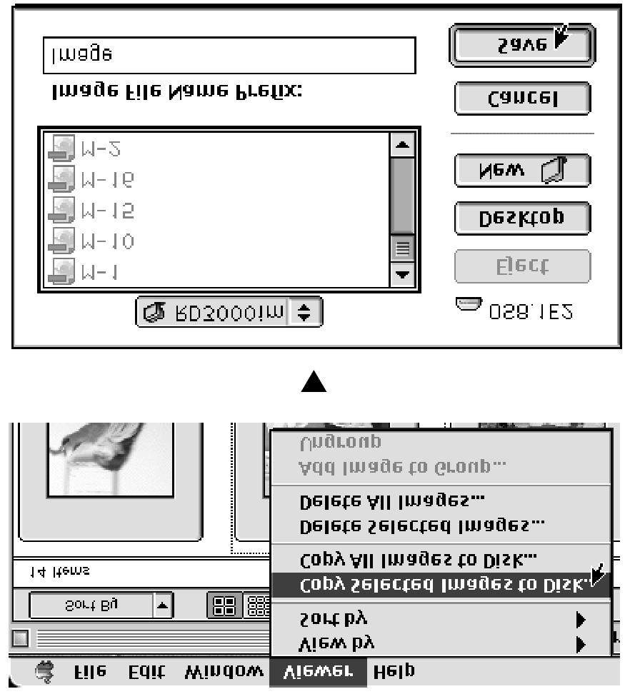 Náhledové okno 3. V nabídce Viewer (Prohlížeč) zvolte příkaz Copy Selected Images to Disk (Kopírovat vybrané snímky na disk). Otevře se okno pro výběr složky pro načítání. 4.