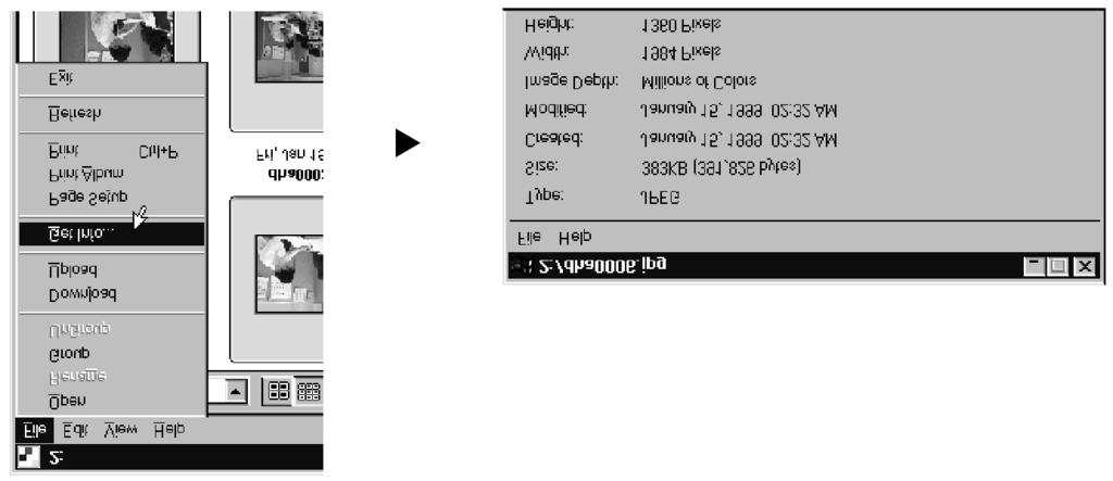Náhledové okno Zobrazení informací o snímku Důležité informace o snímku (grafický formát, velikost souboru, datum vytvoření souboru, datum poslední úpravy souboru, barevná hloubka apod.