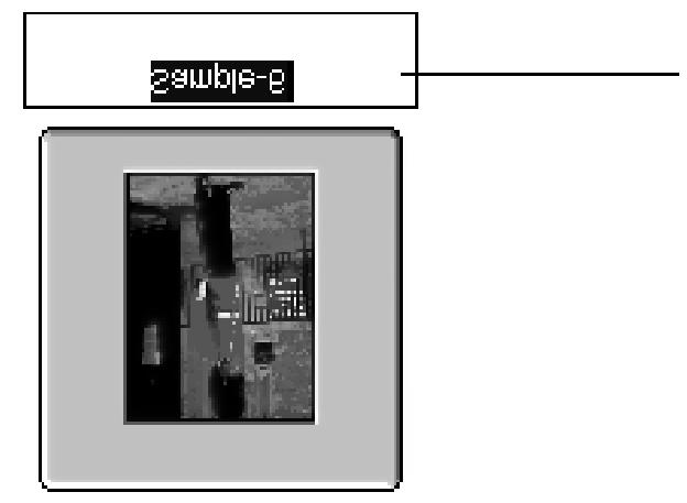 Změna názvu snímku Náhledové okno Funkce slouží ke změně názvů snímků, uložených na pevném disku počítače a zobrazených v Náhledovém okně. Nové názvy si ověřte na náhledech snímků.
