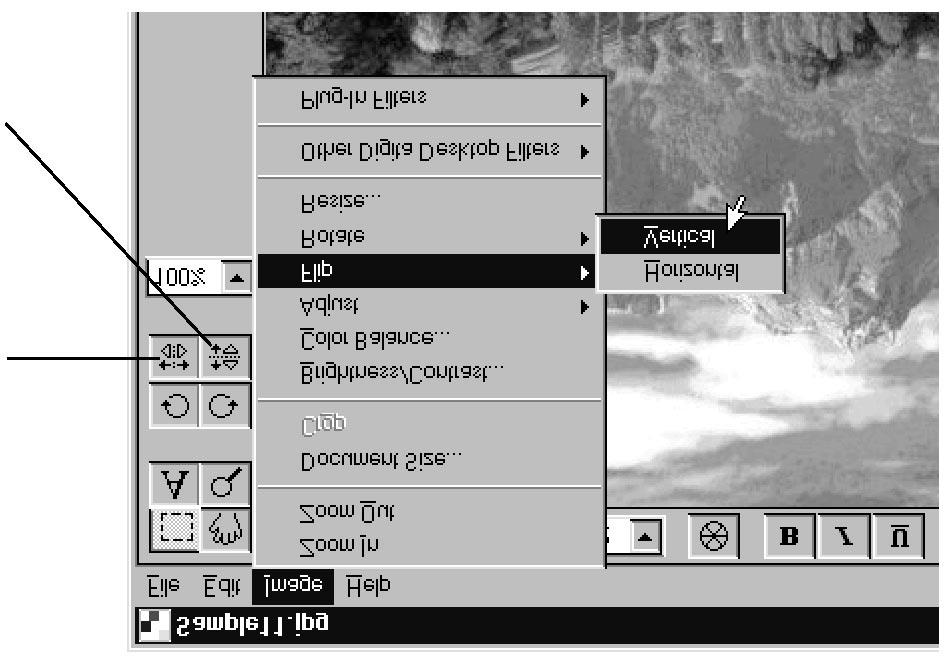 Editační okno Převrácení obrazu (horizontálně nebo vertikálně) Funkce převrátí obraz kolem svislé nebo vodorovné osy.