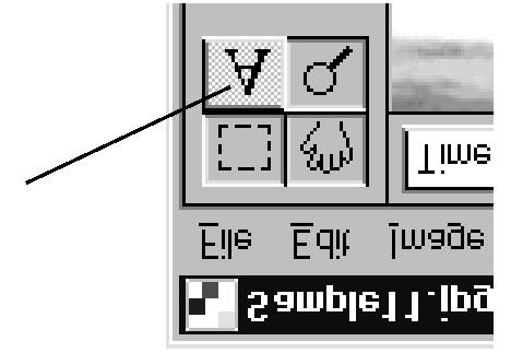 Editační okno Vložení textu do obrazu Funkce vloží zadaný text na určené místo v obraze. 1. Klepnutím na příslušné tlačítko na panelu nástrojů zvolte nástroj Text. Kurzor bude mít tvar I.