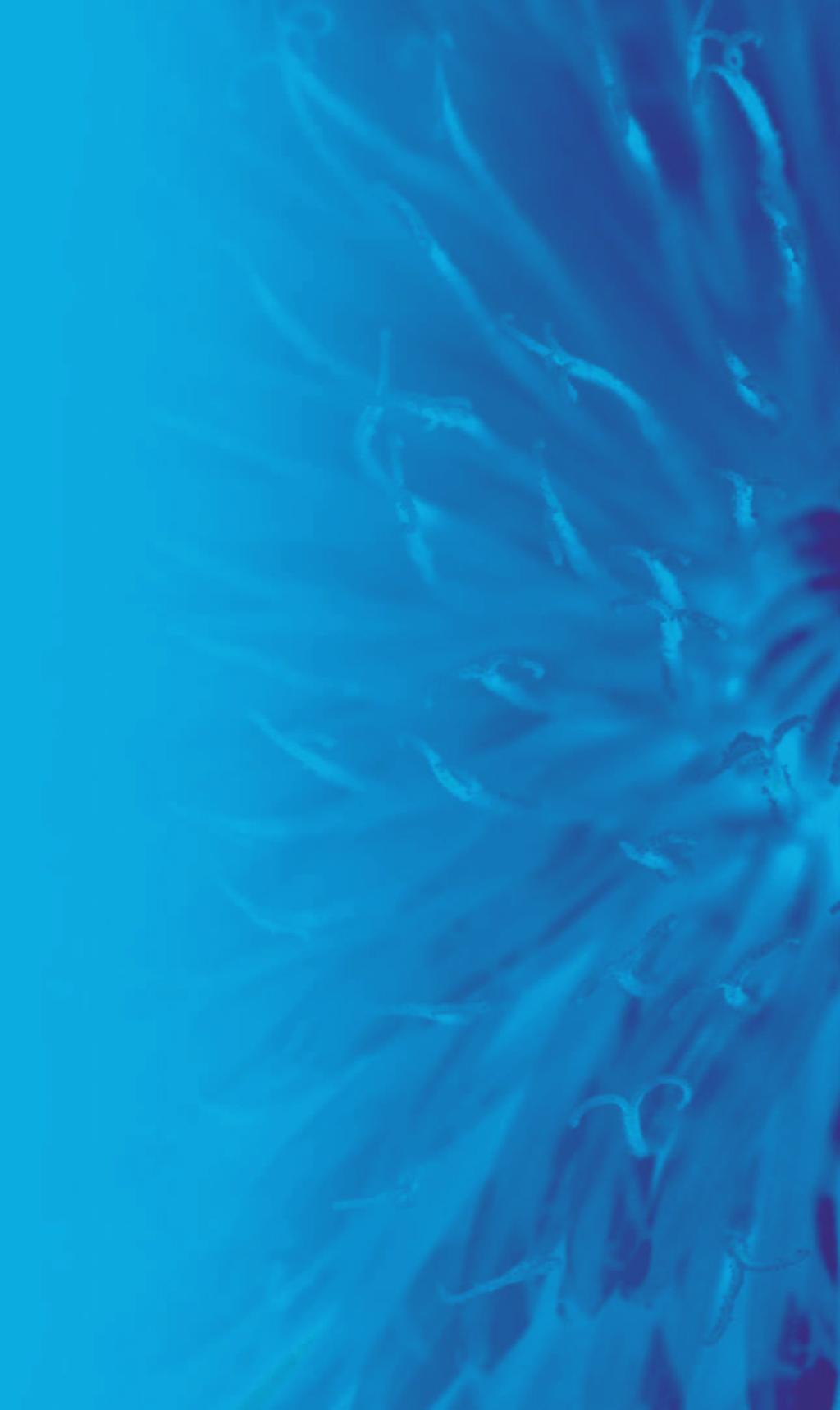 O společnosti DYNEX Společnost Dynex Technologies je na trhu již více než 20 let.