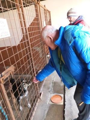 která jsou nalezena městskou policií nebo občany na území města Rumburk.