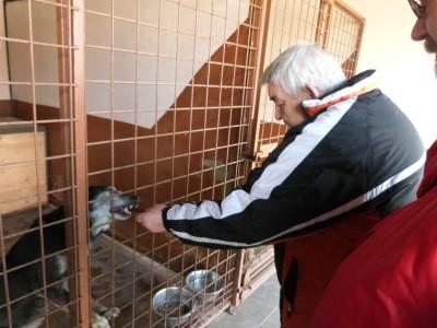 dubnového dne navštívit tyto pejsky. Přihlásili se nám převážně milovníci psů.