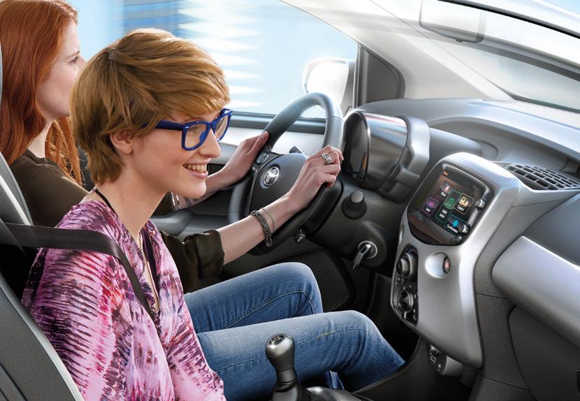 Navíc nabízíme i financování v rámci finančního či operativního leasingu, kdy parametry těchto produktů jsou velmi podobné produktům retailovým (Toyota Leasing a Toyota Rent), liší se pouze některými
