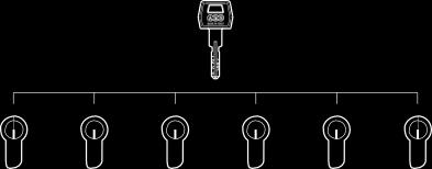 Grand master keyed GMK system As for the master-keyed system where each lock has its own individual key, but in this case the locks are divided into 2 or more groups.