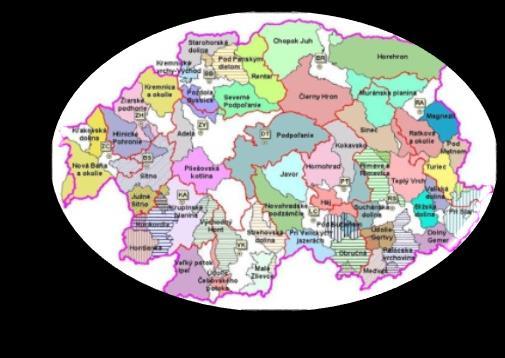 Mikroregióny