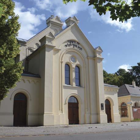 zpráva