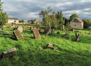 dokument Statuta Judæorum vydaný králem Přemyslem Otakarem II. v roce 1254, jenž určoval právní postavení Židů až do konce 19. století.