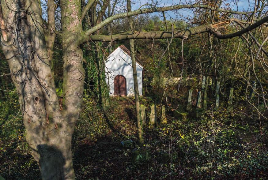 / The cemetery with a morgue