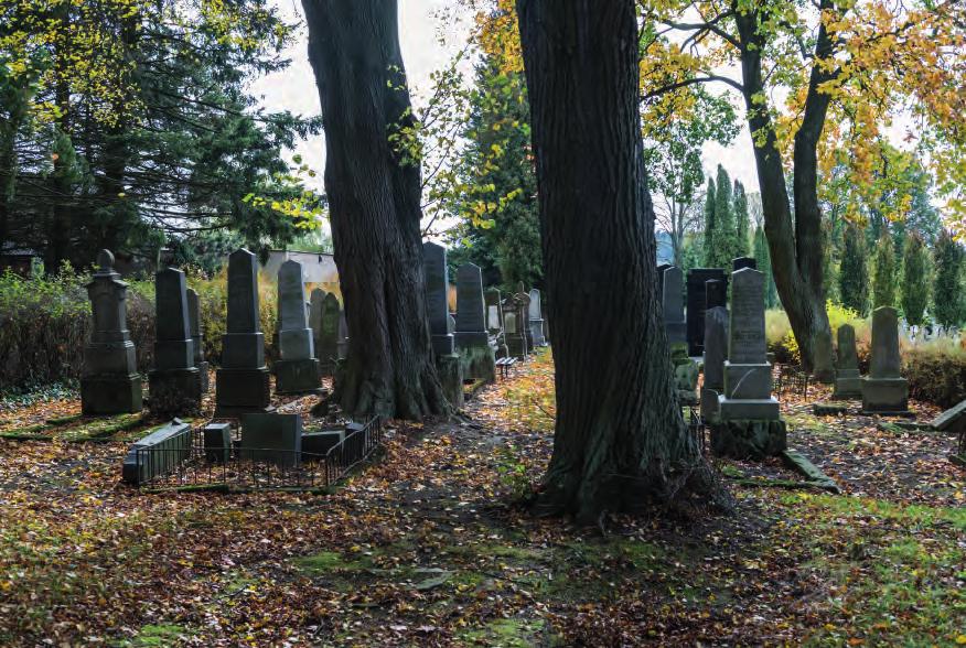 cemetery. Polička.