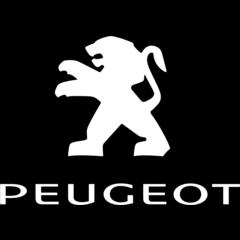 Základní údaje o vozidle VIN TOVÁRNÍ ZNAČKA PEUGEOT MODEL 508 TYP KAROSERIE sedan/limuzína DRUH VOZIDLA osobní PALIVO nafta VÝKON 120 kw OBJEM 1997 ccm PRVNÍ REGISTRACE 28.04.