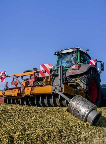 skot při dávce o ~40 % kukuřice pro masné býky 36 nožů MaxFlow nebo 28 nožů MaxFlow OptiMaize L 11 mm 19 mm Mléčný skot při dávce o ~60