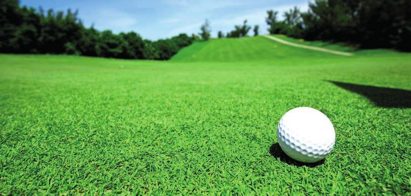 Golfové trávníky Travní směs Greenkeeper Travní směs 5 kg 10 kg 20 kg RSM Kč/kg 4440G01 4440G02 4440G03 4440G04 4440G05 4440G06 4440G07 4440G08 4440G09 4440G10 4440G11
