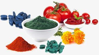 potraviny Kvalita a bezpečnost nutraceutik přírodní = zdravé?