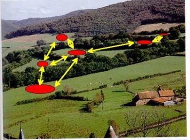 Metapopulace Soubor navzájem propojených populací Proměnlivá mozaika dočasných populací spojených určitou mírou migrace Zdrojové (source) populace populace se stabilními