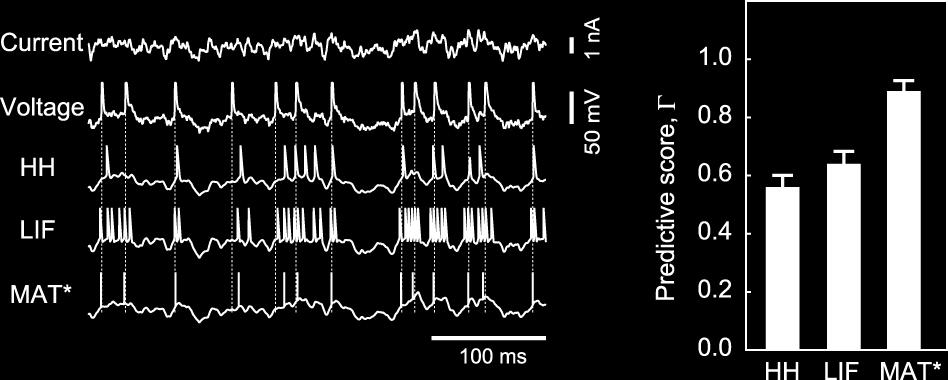 2009 prize) Kobayashi et al., Front. Comput. Neurosci.