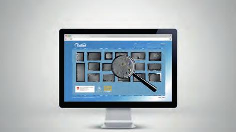 Referát BULLETIN 1/2017 MEZINÁRODNÍ FORENZNÍ DATABÁZE RELIÉF I.