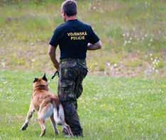 Vzpomínka na skvělého psovoda, ale i rozlučka s velitelem Velitelství Vojenské policie v Olomouci Memoriál Vojtěcha Plačka Mladkov v Orlických horách byl již tradičním místem klání psovodů z celé