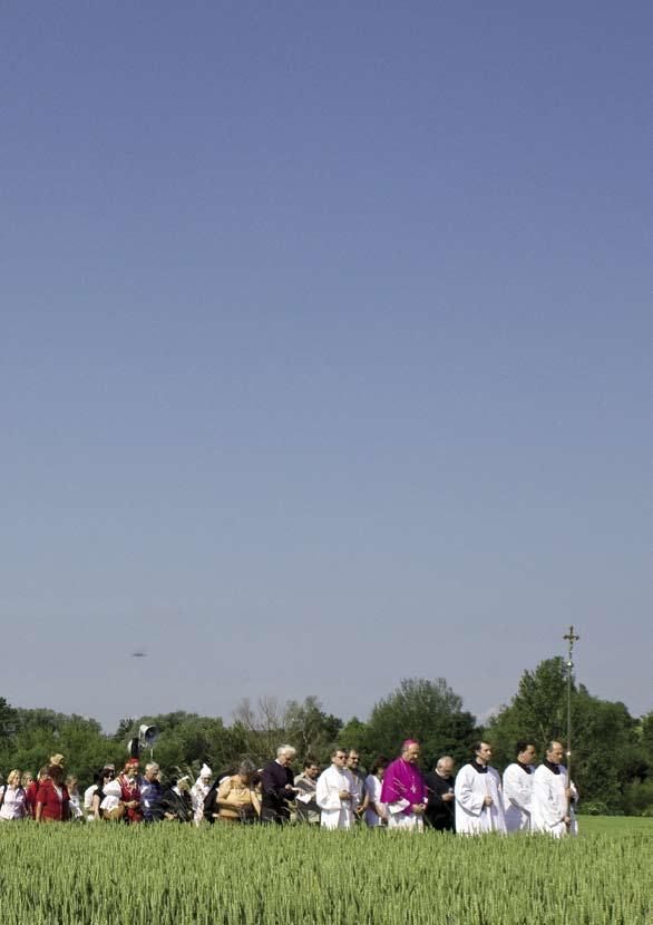 ROČENKA OBČANSKÉHO SDRUŽENÍ MATICE VELEHRADSKÁ - 2009