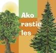 I keď si zlato odniesol český pretekár Koří- nek (916/1000), púhe tri body za ním skončil Peter Krchňavý z OZ Levice (913/1000) a ďalšie dve miesta tiež obsadili ostro- strelci z radov zamestnancov š.