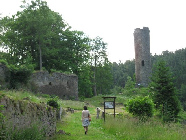 Starostové všech tří obcí seznámili účastníky ze sousední MAS s výsledky realizace některých úspěšných projektů a prodiskutovaly společné problémy.