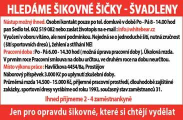 Zaškolení, Info na www.hccgroup.cz/hlouskova/. Bezpečnostní a úklidová agentura nabízí volná pracovní místa na pracovní pozici vrátný pro okres Prostějov a Olomouc. Vhodné pro invalidní důchodce.