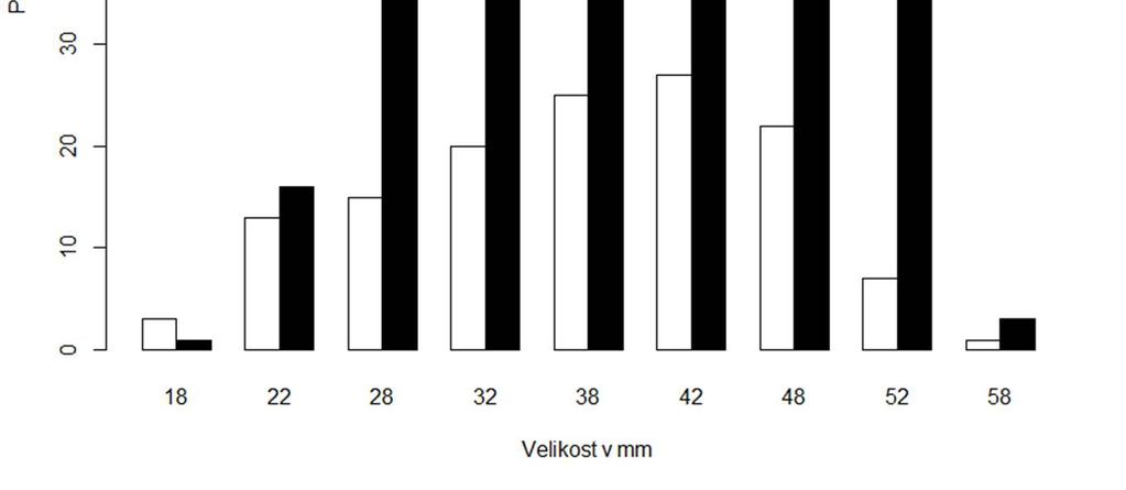 12 Obr. 2: Počet a velikost nalezených U. crassus.