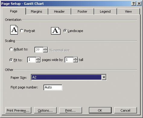 3. Vyberte položku Page Setup (Vzhled stránky) a zvolte požadovanou možnost Paper Size (Formát papíru). 4. Vyberte položku Options (Možnosti) a přejděte do ovladače tiskárny.