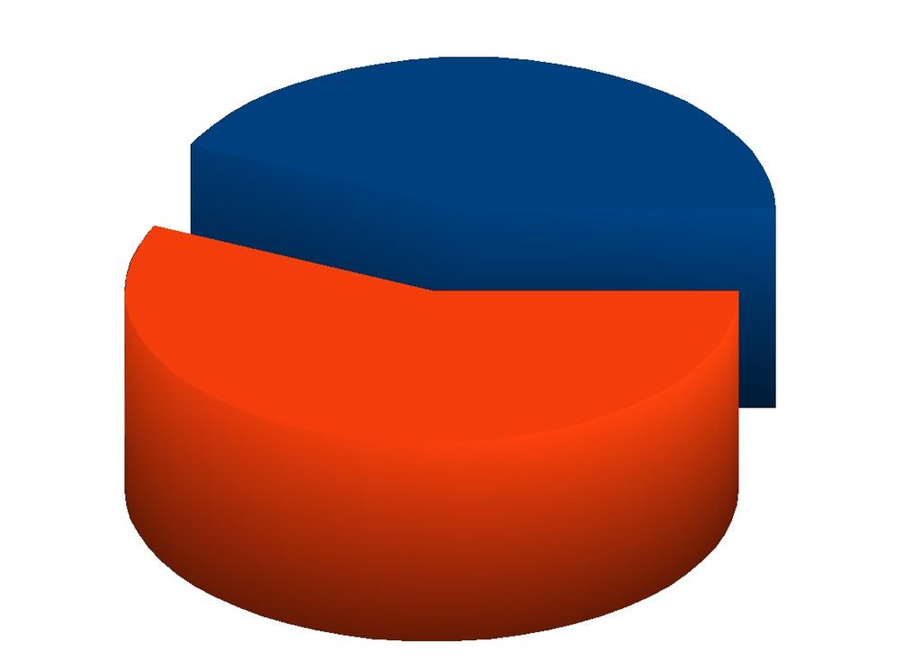 VÝROČNÍ ZPRÁVA 28 5.