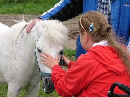 projektu KONĚ PRO HANDICAPOVANÉ uspořádal