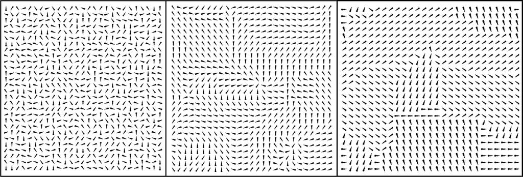 36 Statistická fyzika neuspořádané k soft fázi) lze chápat jako narušení rotační symetrie, při kterém se objeví Goldstoneovy mody fluktuací.