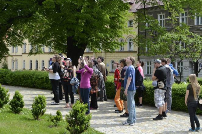 Studentský život Na univerzitě funguje Asociace studentů a přátel Slezské