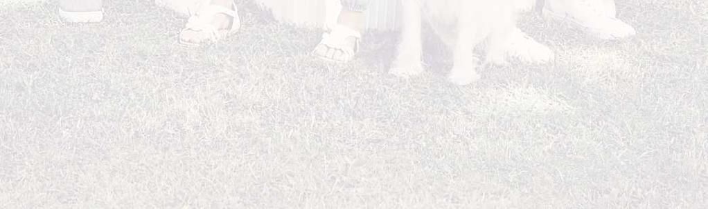 SLEVA S