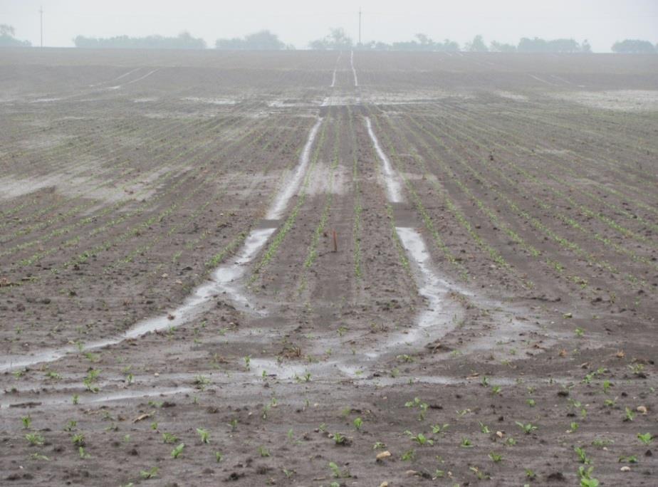faktorů, jako zhutněné půdy, absence pokryvu půdy rostlinnými zbytky, nízká stabilita půdních agregátů a nevhodně zvoleného směru jízd, dokládá Obrázek 3-16.