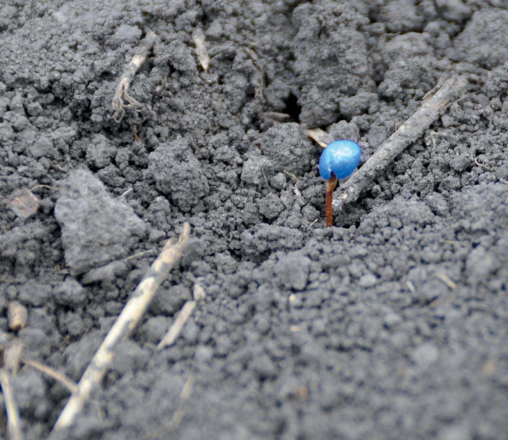PLANTER 3 PRAVIDELNÉ VZCHÁZENÍ ZAJIŠTĚNÉ