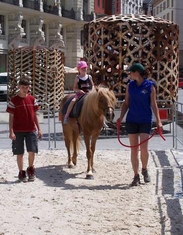 Koně na Eponě Bárty Pony