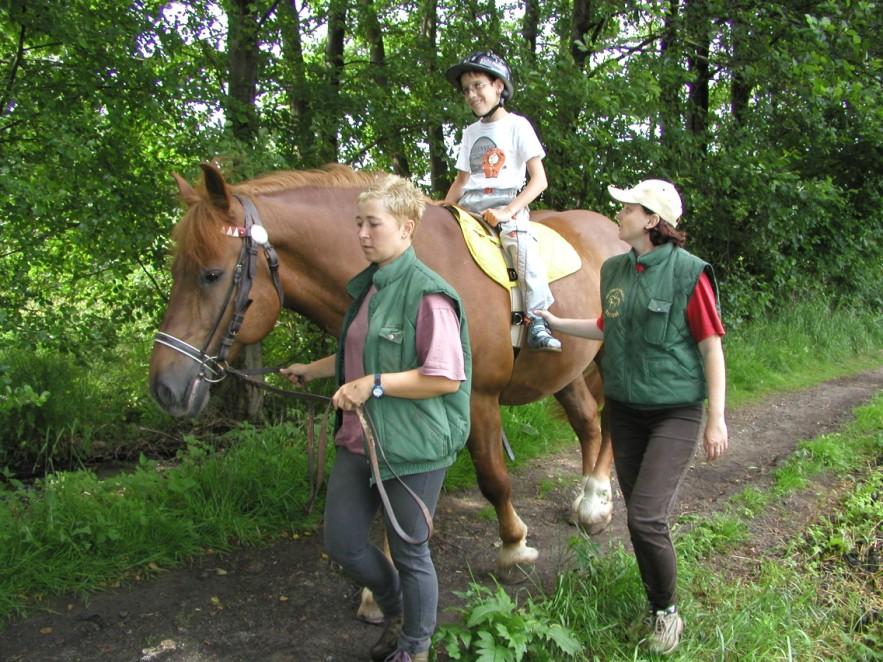 Jištění