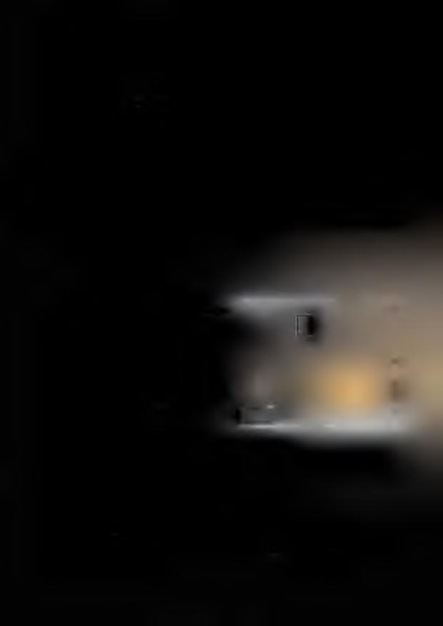 Plynový kotel 250 l G - B - 250/900 11 Bezpečnostní přístroje (clicksony) monitorují provozní teploty duplikátom a spalin (tah), nejsou-li dodrženy přerušením proudu od term.