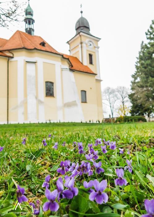 Informace Farního úřadu Prušánky Informace Farního úřadu Prušánky stř 28.11. 17:00 mše svatá NENÍ pá 30.11. 17:00 mše svatá NENÍ so 1.