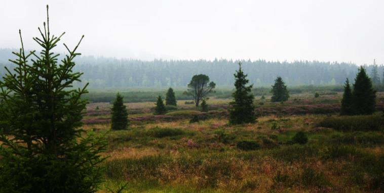 SPRÁVA NÁRODNÍHO PARKU ŠUMAVA ČERVENEC 2018 1. 7. VLČÍ SMEČKA NA ŠUMAVĚ 3. 7. KOLEM PRANÝŘE ZA VÝHLEDY 9.00-12.