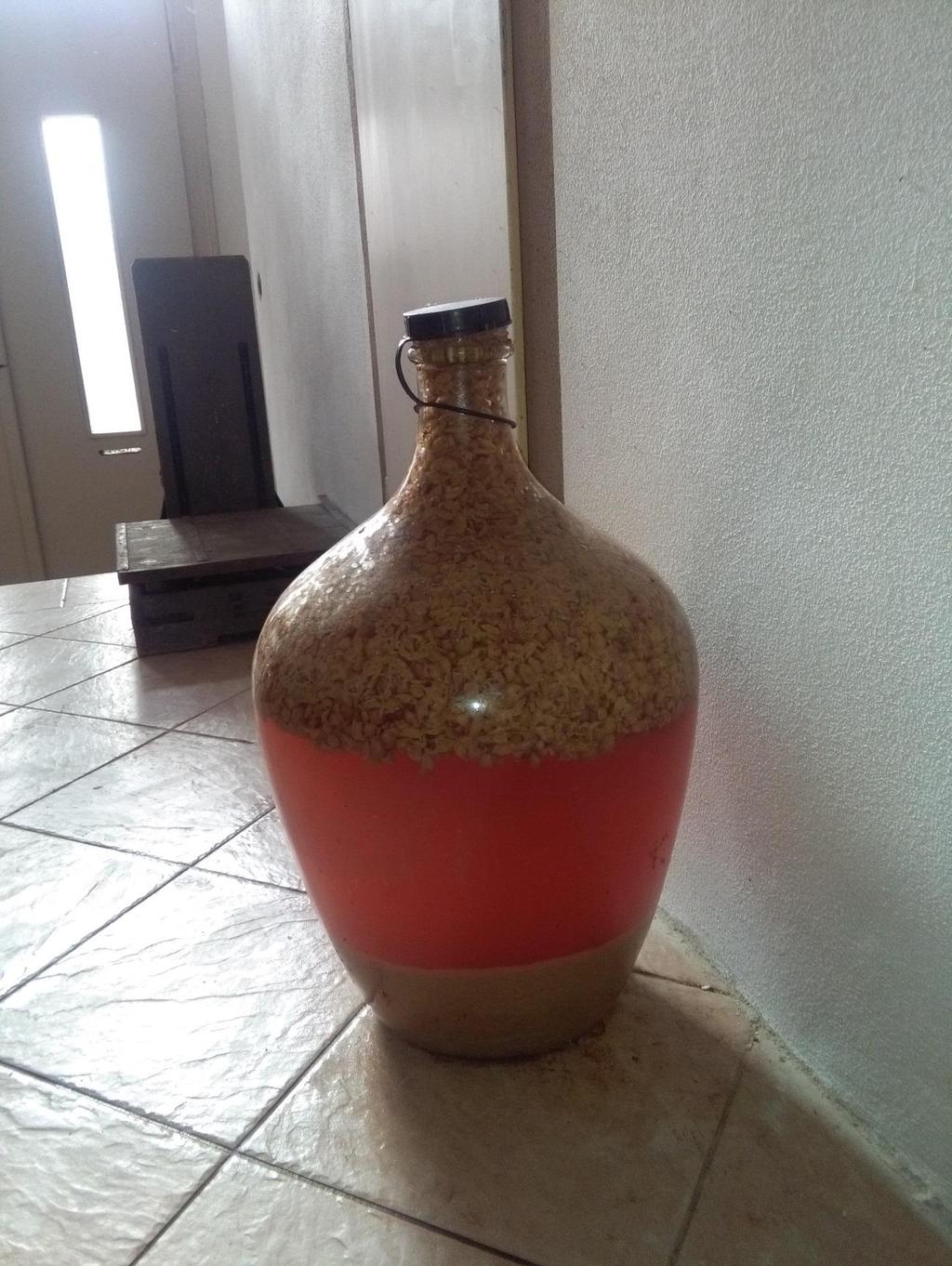 Obrázek 10: Domácí
