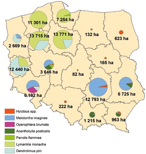 Owad ten był zwalczany na relatywnie niewielkiej powierzchni 978 ha (4 nadleśnictwa), (tab. 1).