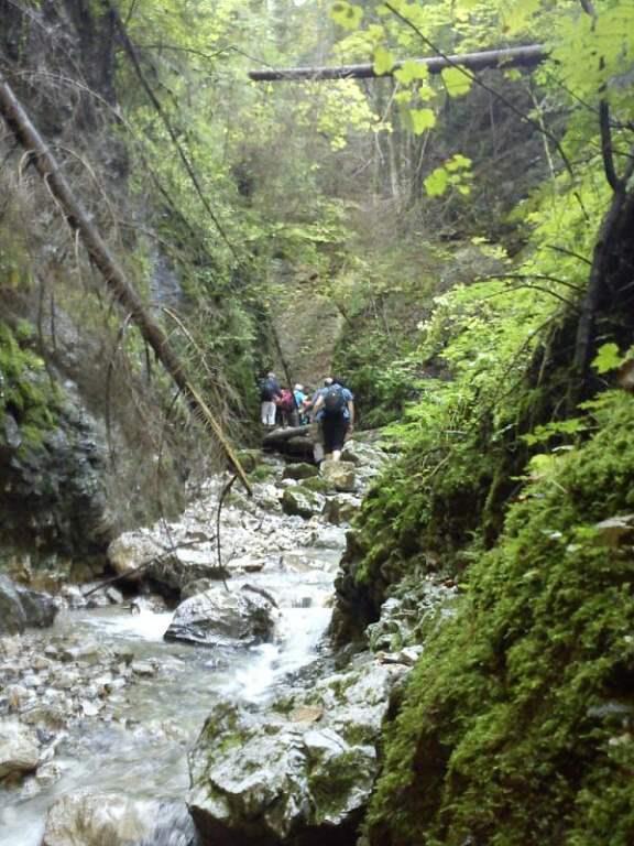 Skalnatým
