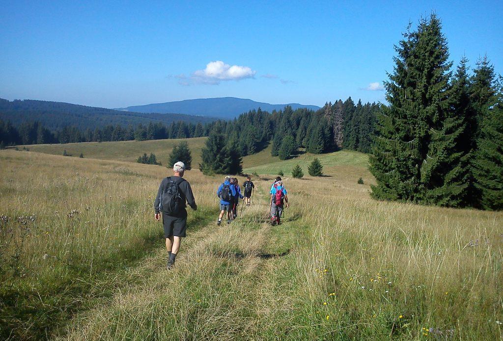 Slovenské Rudohorie Tlstý Javor ( 1025 m.