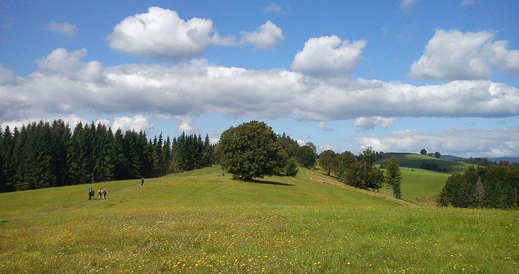 Slovenské