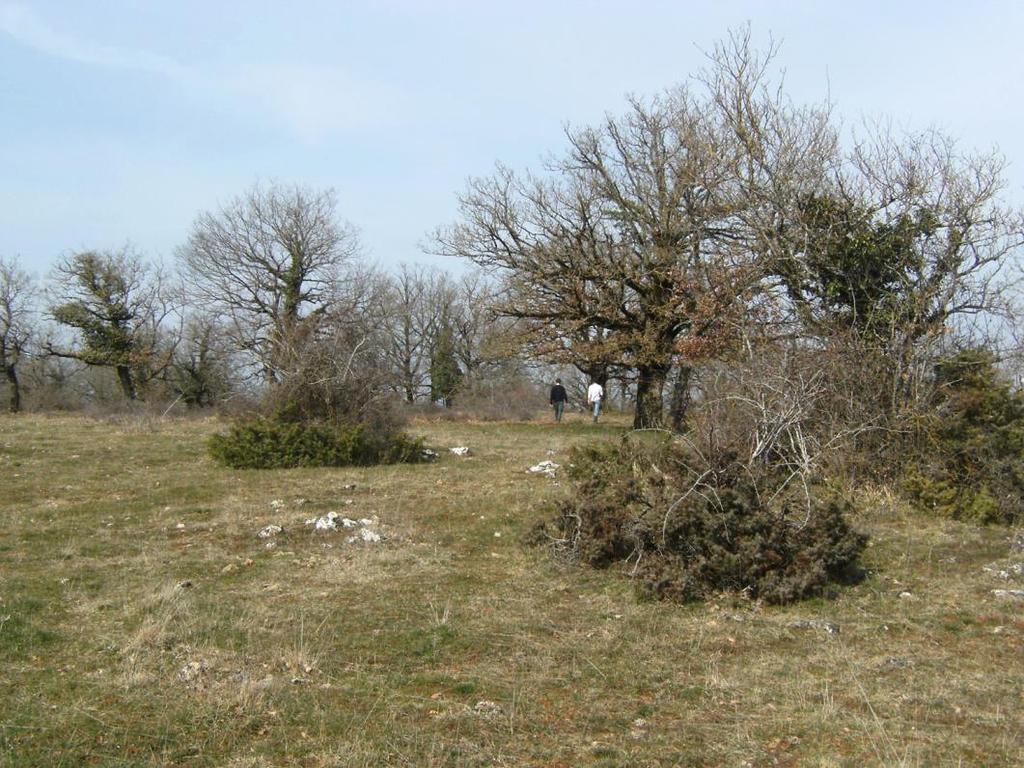 celém světě (Fischer et al. 2010, Lindenmayer et al. 2014, Manning et al. 2006, Šebek et al. 2016).